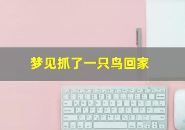 梦见抓了一只鸟回家