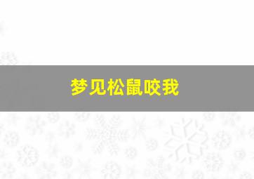 梦见松鼠咬我