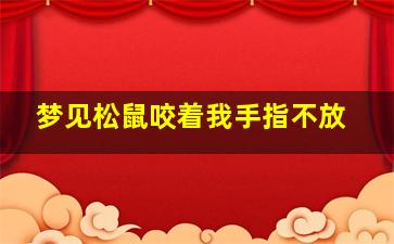 梦见松鼠咬着我手指不放