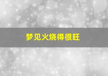 梦见火烧得很旺