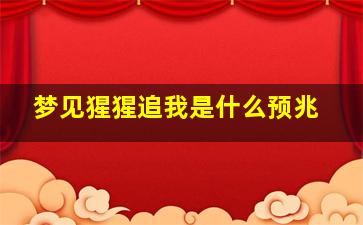 梦见猩猩追我是什么预兆