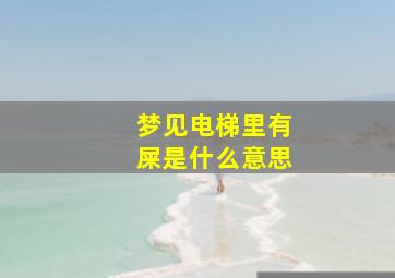 梦见电梯里有屎是什么意思