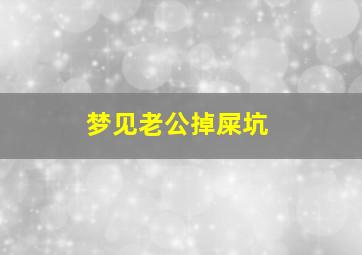梦见老公掉屎坑