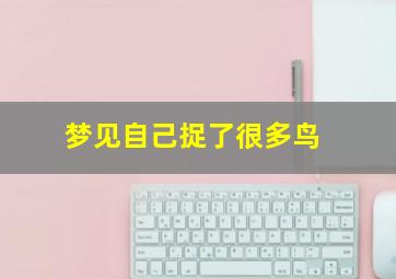 梦见自己捉了很多鸟