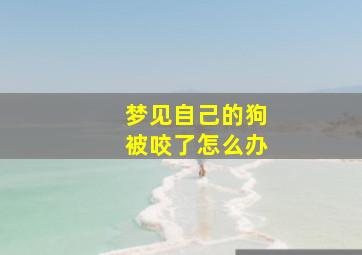 梦见自己的狗被咬了怎么办