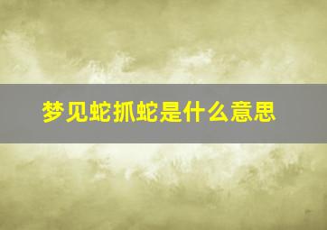 梦见蛇抓蛇是什么意思