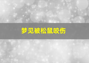 梦见被松鼠咬伤