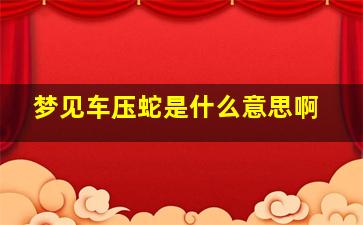 梦见车压蛇是什么意思啊