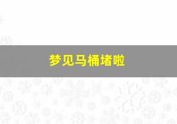 梦见马桶堵啦