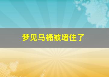 梦见马桶被堵住了