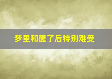 梦里和醒了后特别难受