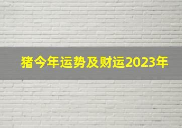 猪今年运势及财运2023年,属猪2023年运势及运程1983年出生