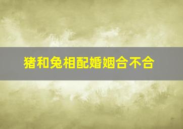 猪和兔相配婚姻合不合,猪和兔合不合兔子和猪属相相配吗