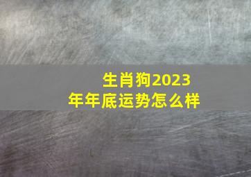 生肖狗2023年年底运势怎么样,生肖狗在2023年的运势如何