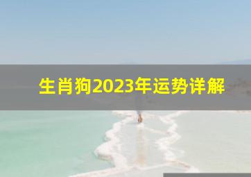 生肖狗2023年运势详解,属狗2023年的运势