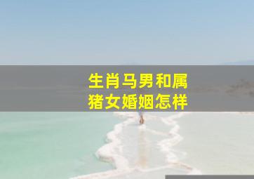 生肖马男和属猪女婚姻怎样,属马男人和属猪女好不好