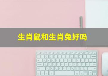 生肖鼠和生肖兔好吗,