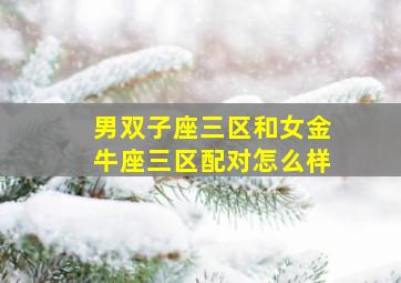 男双子座三区和女金牛座三区配对怎么样,双子座与金牛座配对指数