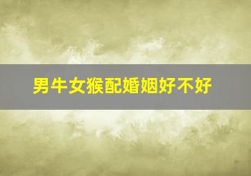 男牛女猴配婚姻好不好,