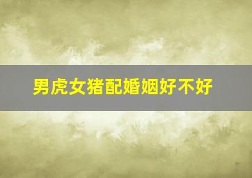 男虎女猪配婚姻好不好,男虎和女猪的婚姻怎么样配对指数高吗