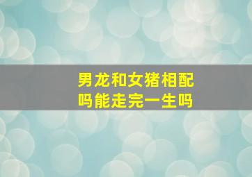 男龙和女猪相配吗能走完一生吗,