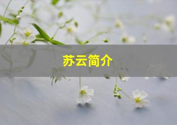 苏云简介,《史上最诡异循环》txt下载在线阅读全文