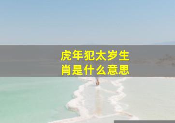 虎年犯太岁生肖是什么意思,