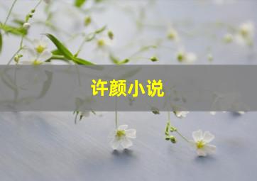 许颜小说,女主角叫许颜的小说