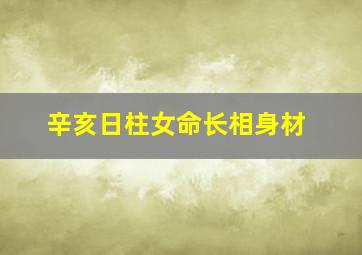 辛亥日柱女命长相身材,辛亥日柱女人功夫不可描述的好