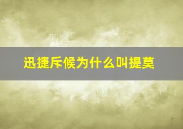 迅捷斥候为什么叫提莫,lol中迅捷斥候的大招叫什么