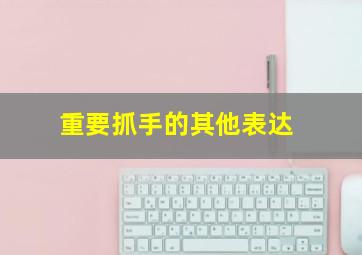 重要抓手的其他表达,重要抓手的其他表达词语