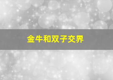 金牛和双子交界,金牛和双子交界的男生