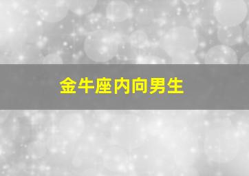 金牛座内向男生,外向的金牛男