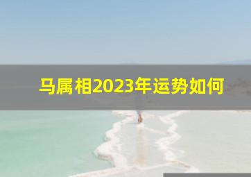 马属相2023年运势如何,<body>