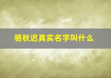 骆秋迟真实名字叫什么,青青子衿骆秋迟当上状元吗