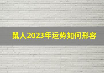 鼠人2023年运势如何形容,2023年属鼠人的全年运势详解