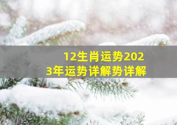 12生肖运势2023年运势详解势详解,各生肖2023年运势