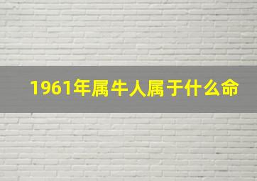 1961年属牛人属于什么命,1961年生肖牛2021年本命年运势如何60岁本命年有什么说法