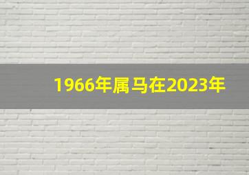 1966年属马在2023年,66年属马女2023年运势和财运怎么样呢