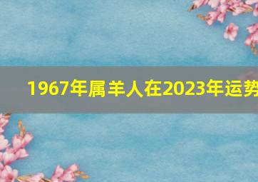 1967年属羊人在2023年运势,67年属羊男人2023年全年运势详解
