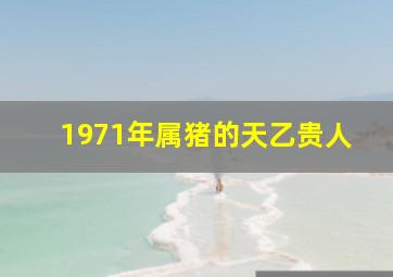 1971年属猪的天乙贵人,属猪人离不开的两个贵人是谁