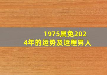 1975属兔2024年的运势及运程男人,1975属兔2024年46岁以后运气