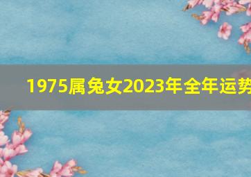 1975属兔女2023年全年运势,75年属兔人在2023年的运势