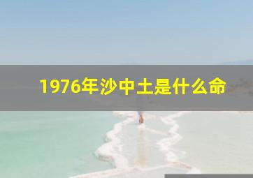 1976年沙中土是什么命,1976年是什么命