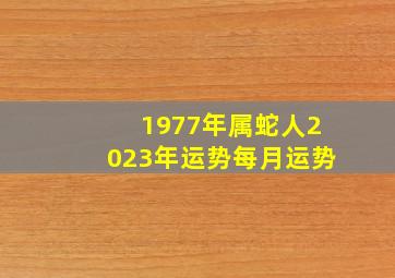 1977年属蛇人2023年运势每月运势,<body>