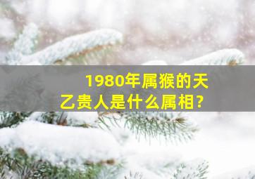 1980年属猴的天乙贵人是什么属相？