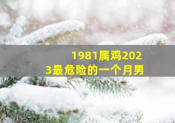 1981属鸡2023最危险的一个月男,1981年鸡2023年运势及运程流年冲太岁各方面运势不佳