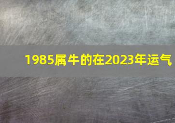 1985属牛的在2023年运气,1985年出生属牛人2023年全年运势生肖牛兔年每月运势