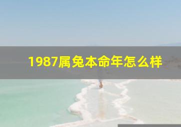 1987属兔本命年怎么样