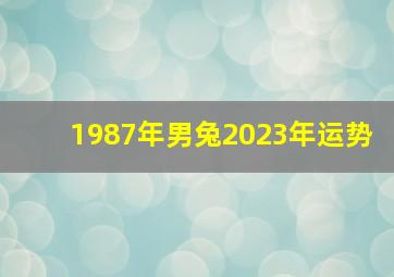 1987年男兔2023年运势,87年兔2023年的运势